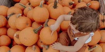 Toddler on top of pumpkins